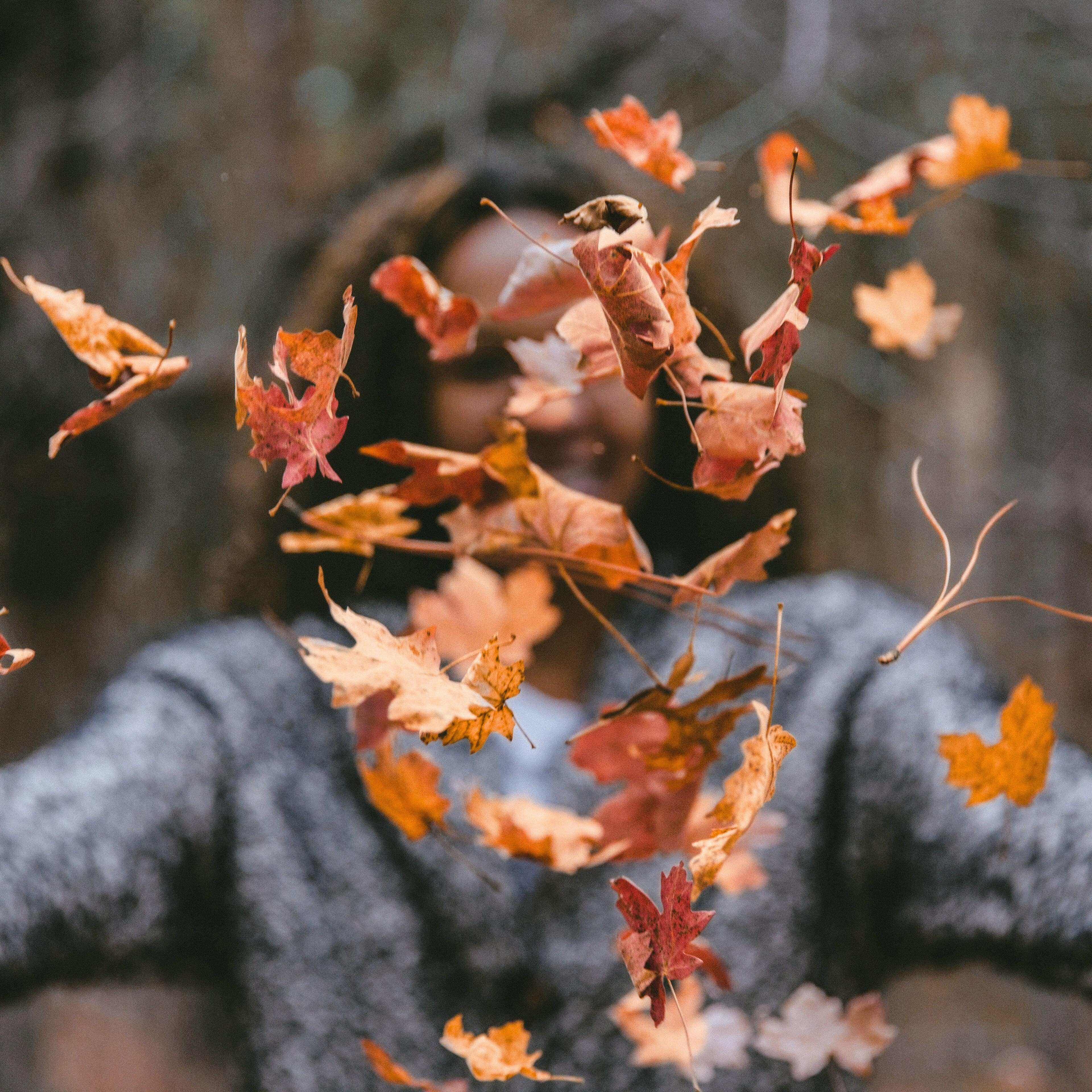 Herbstzauber - Bandana OP Haube - OP Haube aus Stoff - Gluecksbringer