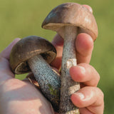 Mushroom Meadow - Anpassbare OP Haube - OP Haube aus Stoff - Gluecksbringer